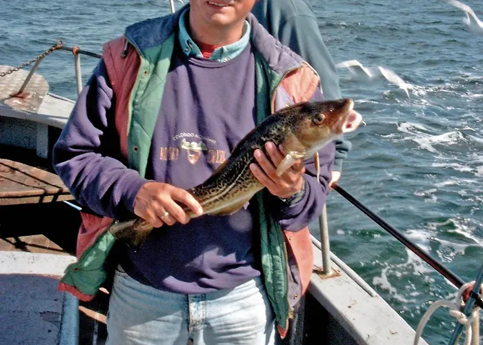 Sonnenschein Appartement *