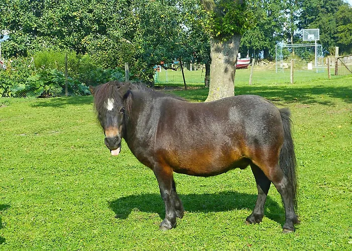 Sonnenschein * Klausdorf (Fehmarn)